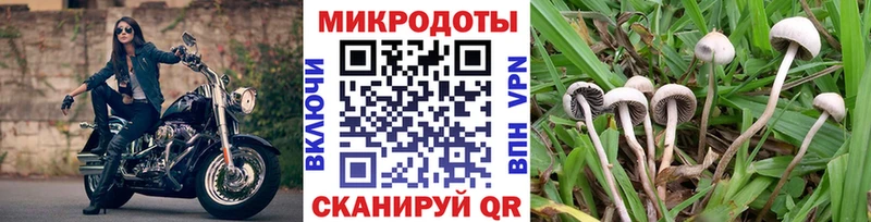 Галлюциногенные грибы мухоморы  площадка какой сайт  Анжеро-Судженск 